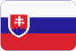 ABIS Czech, a.s. Slovensky